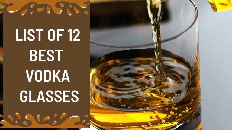 12 Best Glass for Vodka