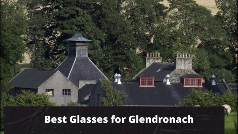 Best Glasses for Glendronach