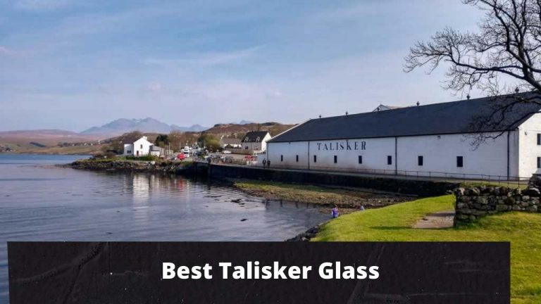 Best Talisker Scotch Glass
