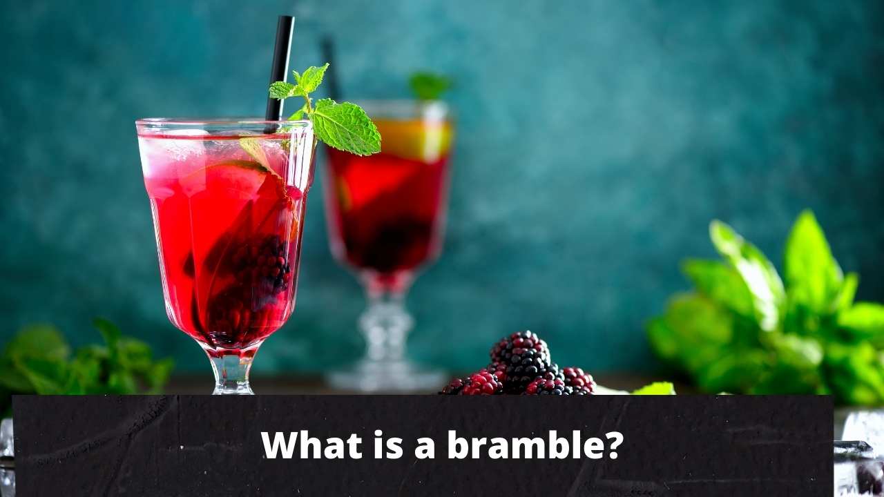 What is a bramble